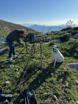 Gunseli Studio